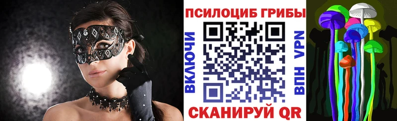 Псилоцибиновые грибы Psilocybine cubensis  Лыткарино 